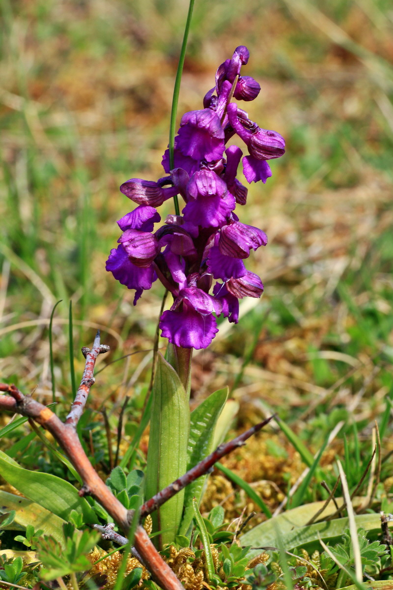 2015_05_01_00018246p_Bildgr��e �ndern