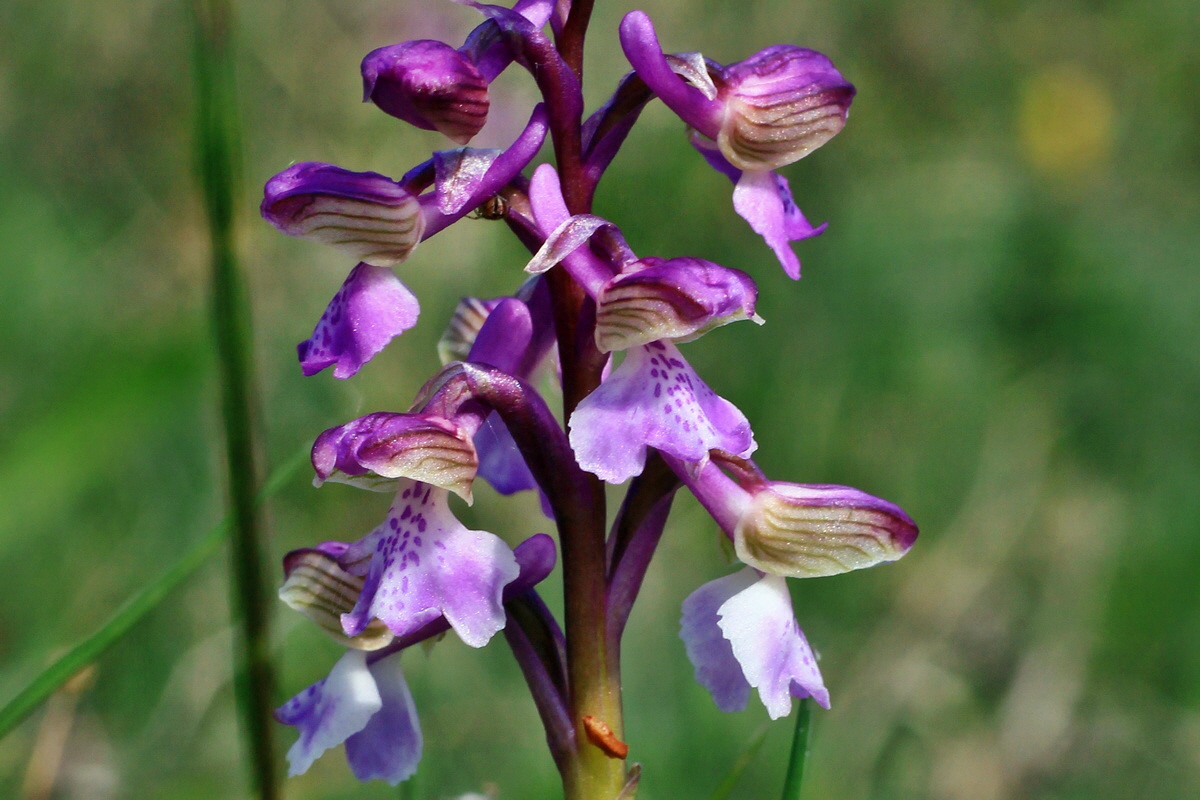 2015_05_01_00018248ap_Bildgr��e �ndern