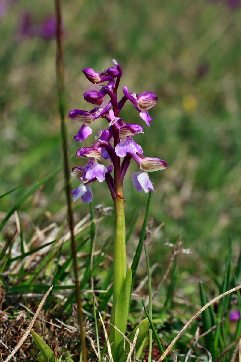 2015_05_01_00018248p_Bildgr��e �ndern