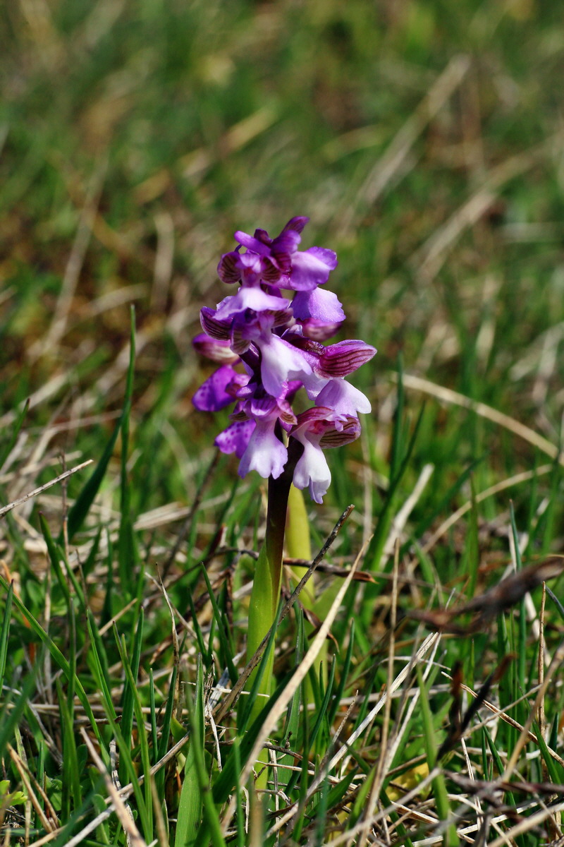 2015_05_01_00018251p_Bildgr��e �ndern