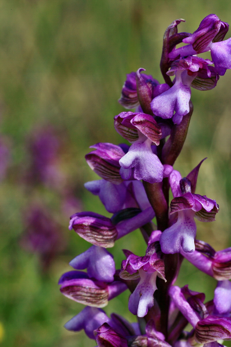 2015_05_01_00018253p_Bildgr��e �ndern