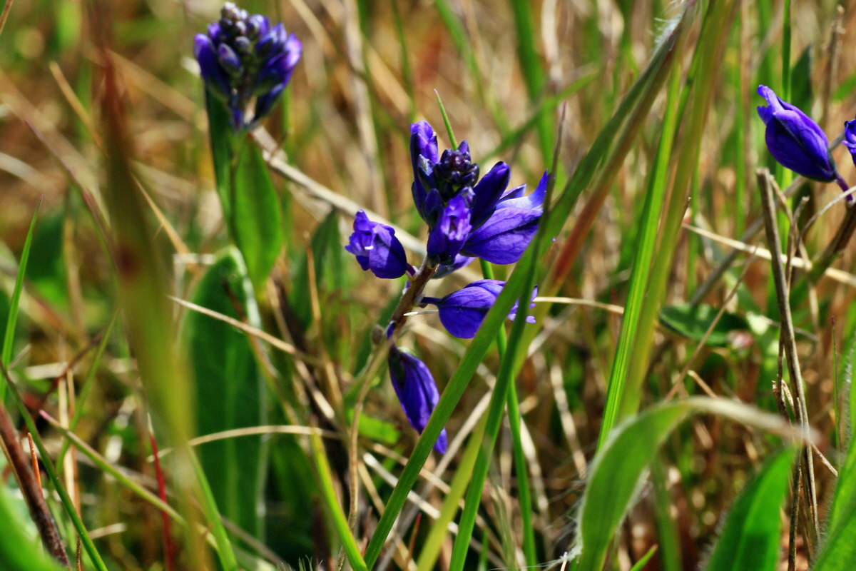 2015_05_01_00018260p_Bildgr��e �ndern