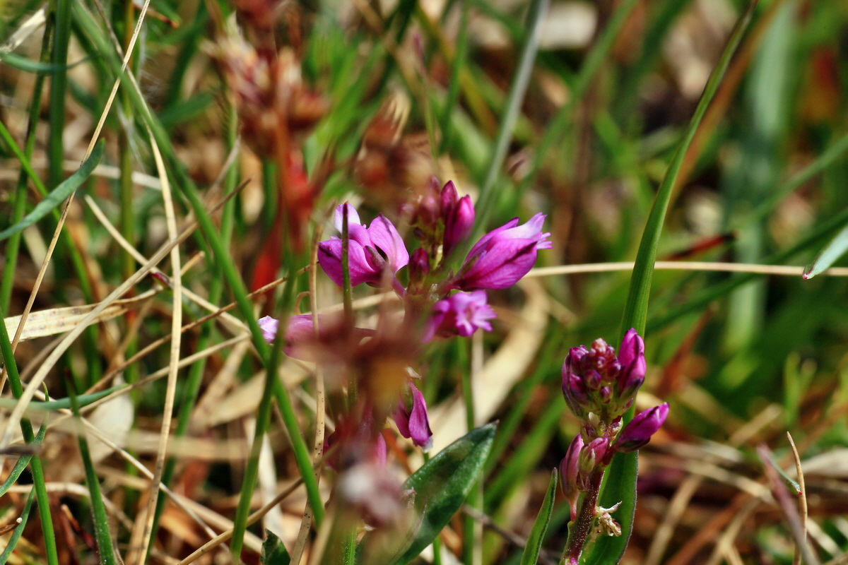 2015_05_01_00018263p_Bildgr��e �ndern