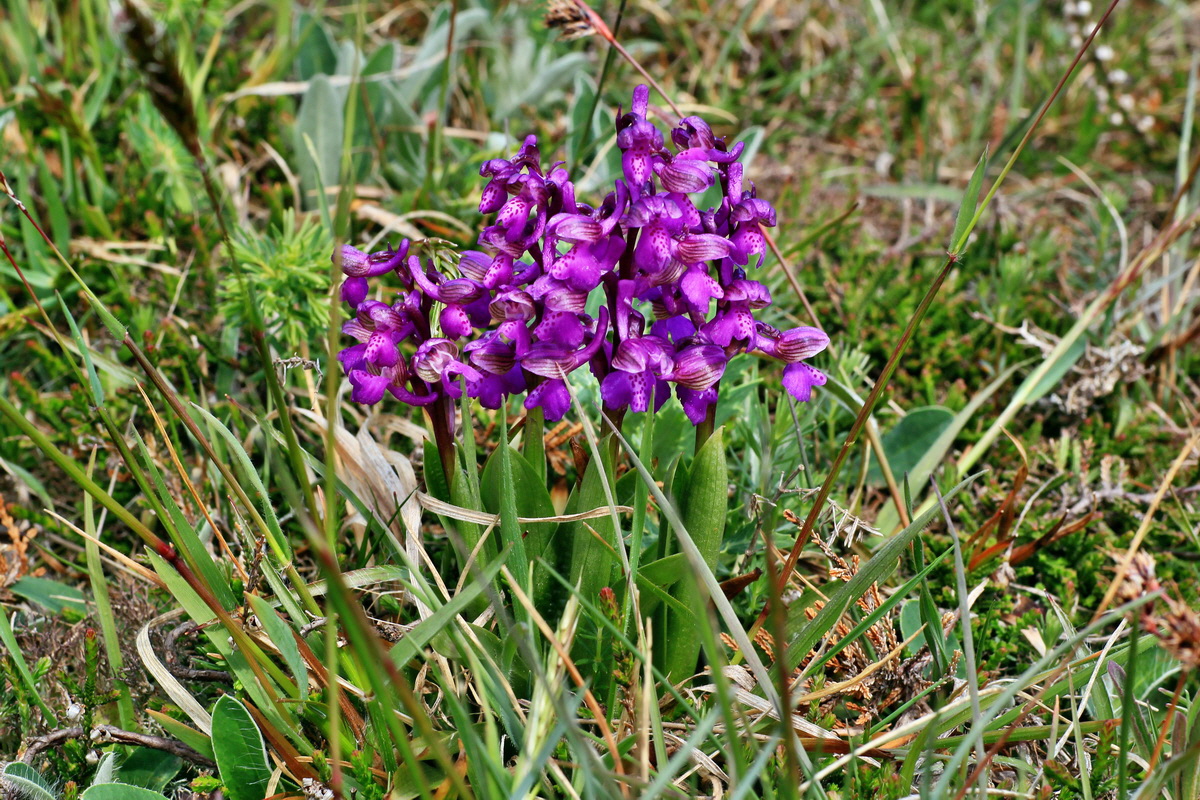 2015_05_01_00018265p_Bildgr��e �ndern