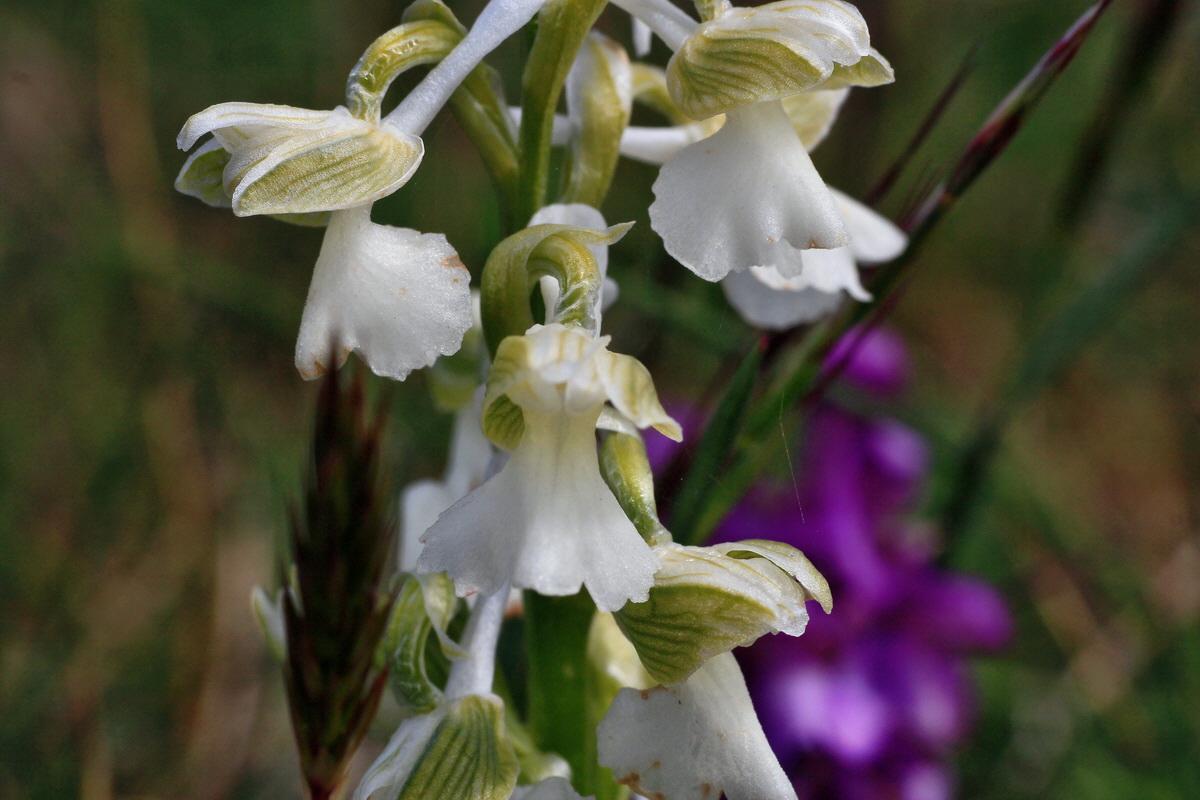 2015_05_01_00018268p_Bildgr��e �ndern