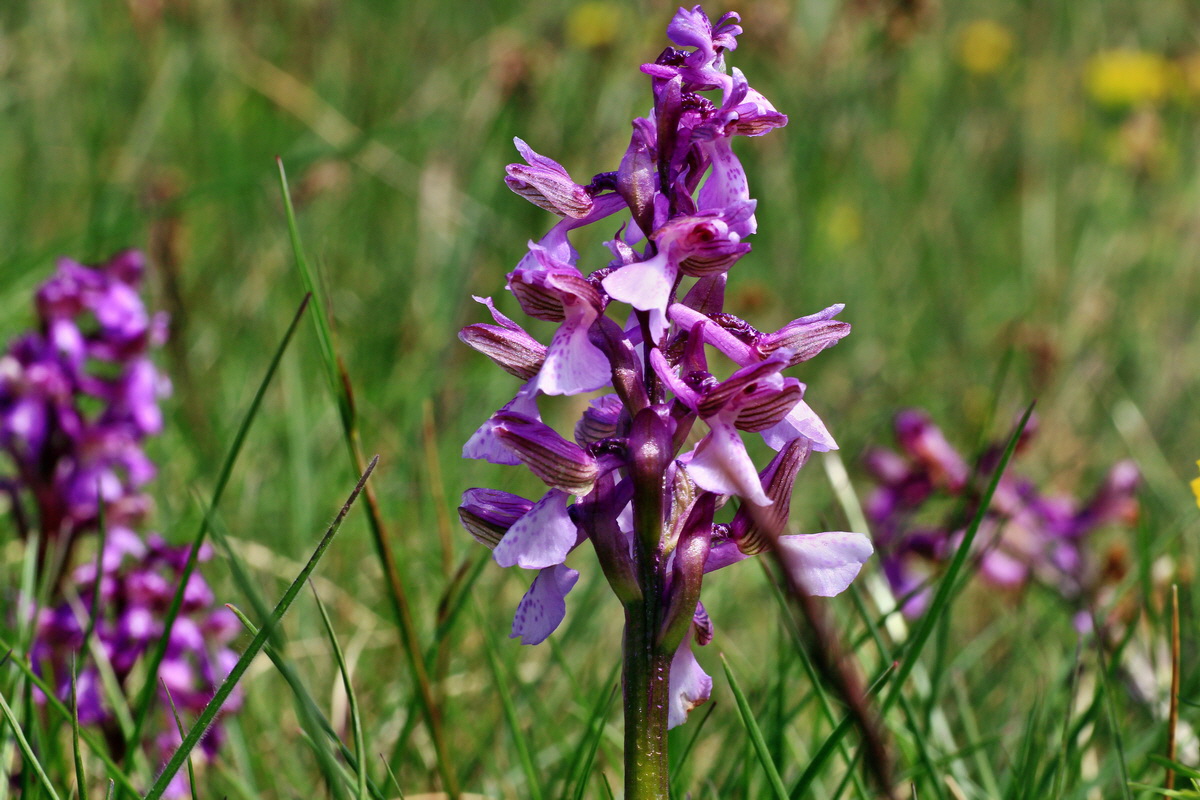 2015_05_01_00018275p_Bildgr��e �ndern