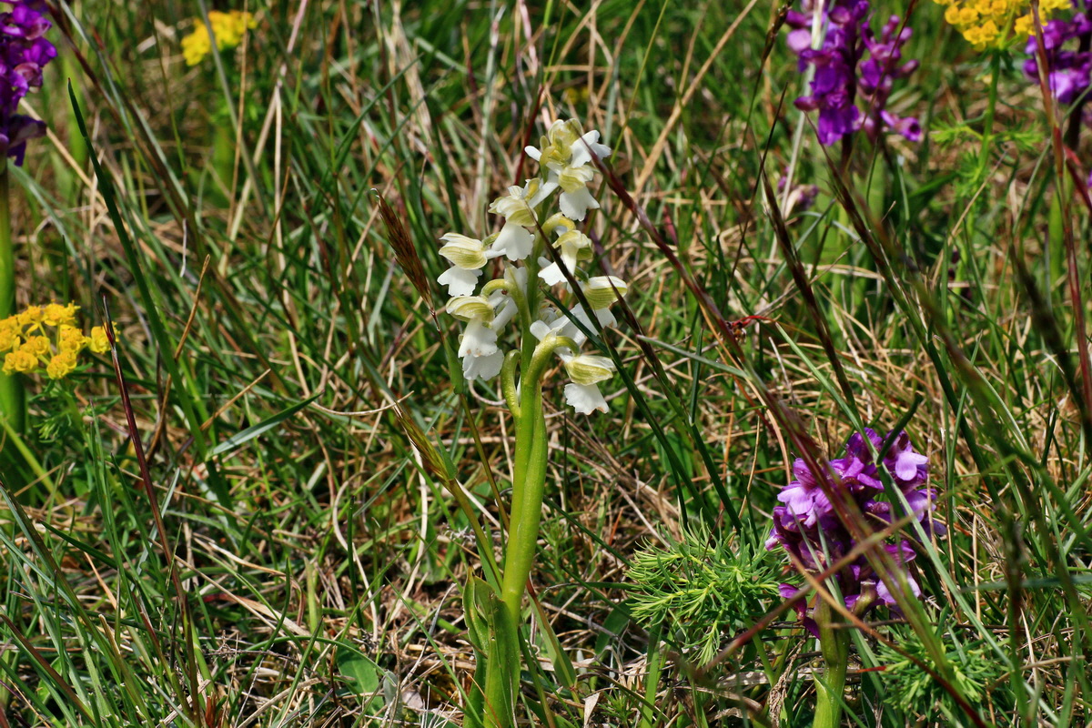 2015_05_01_00018277p_Bildgr��e �ndern