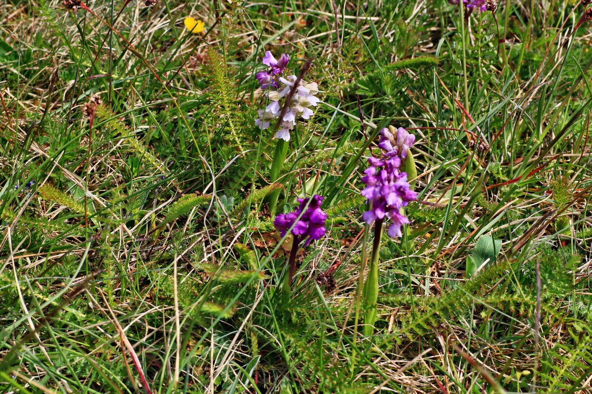 2015_05_01_00018281p_Bildgr��e �ndern