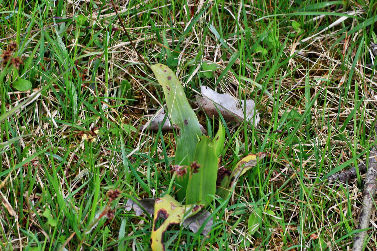 2015_05_01_00018283p_Bildgr��e �ndern