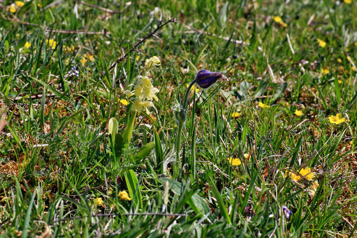 2015_05_02_00018285p_Bildgr��e �ndern