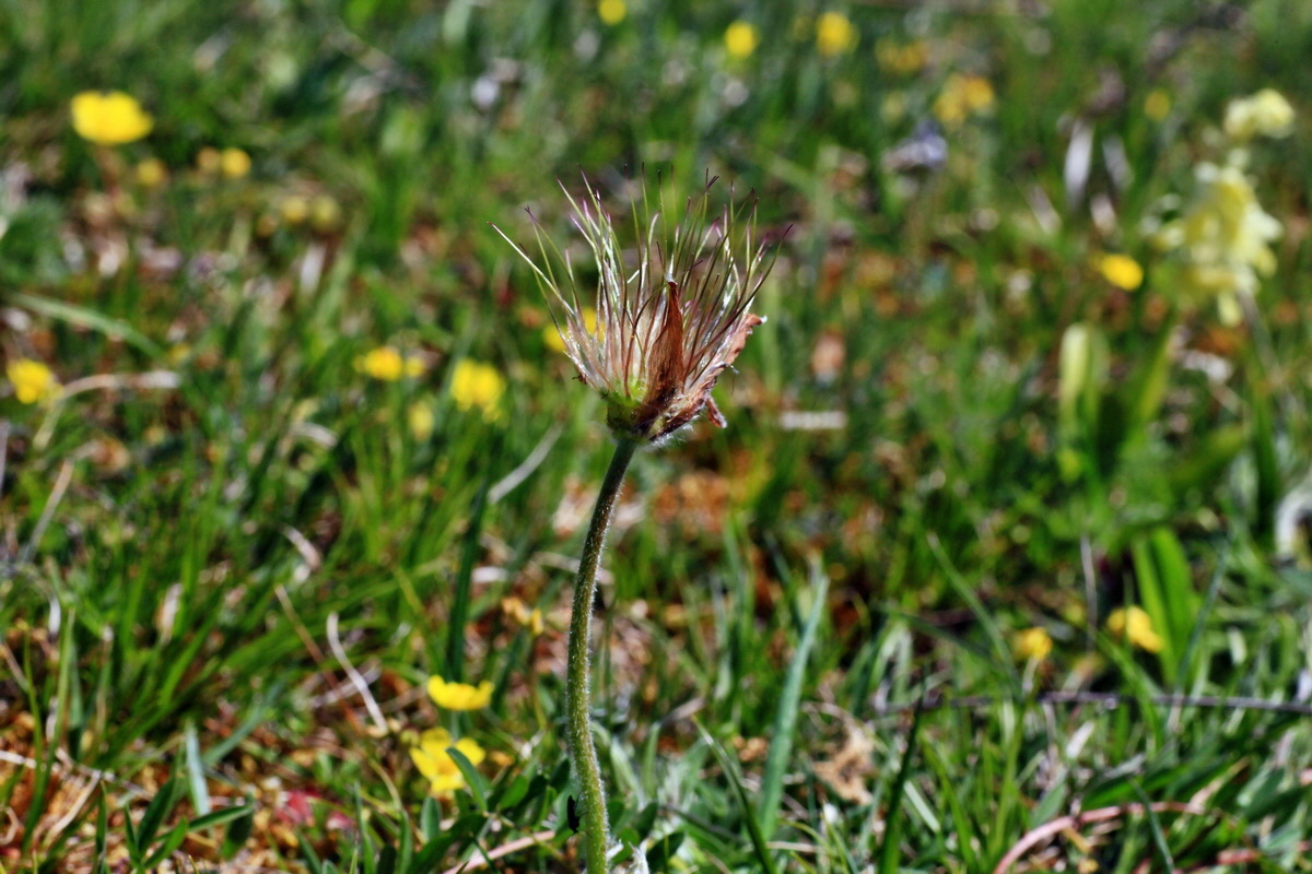 2015_05_02_00018288p_Bildgr��e �ndern