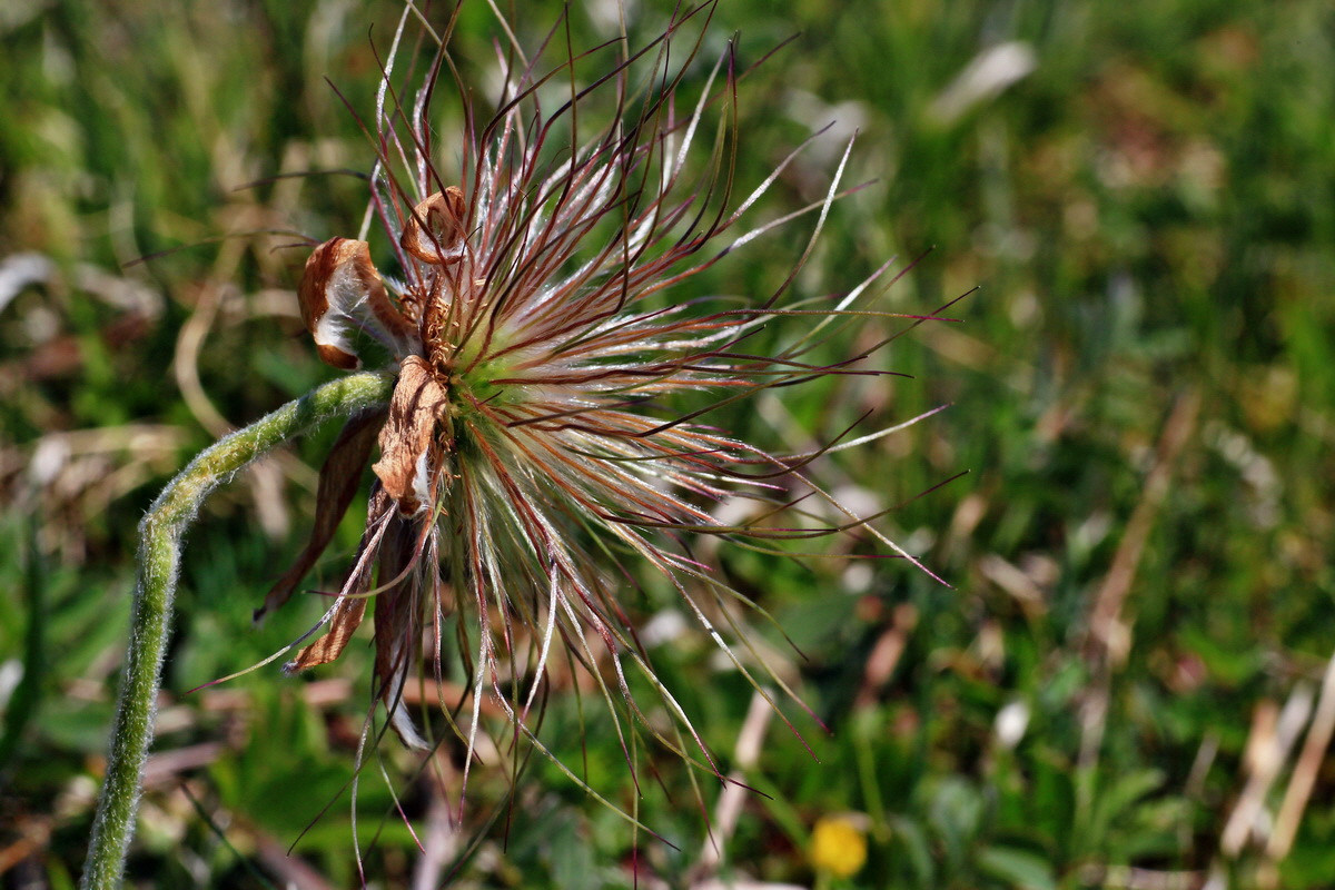 2015_05_02_00018289p_Bildgr��e �ndern