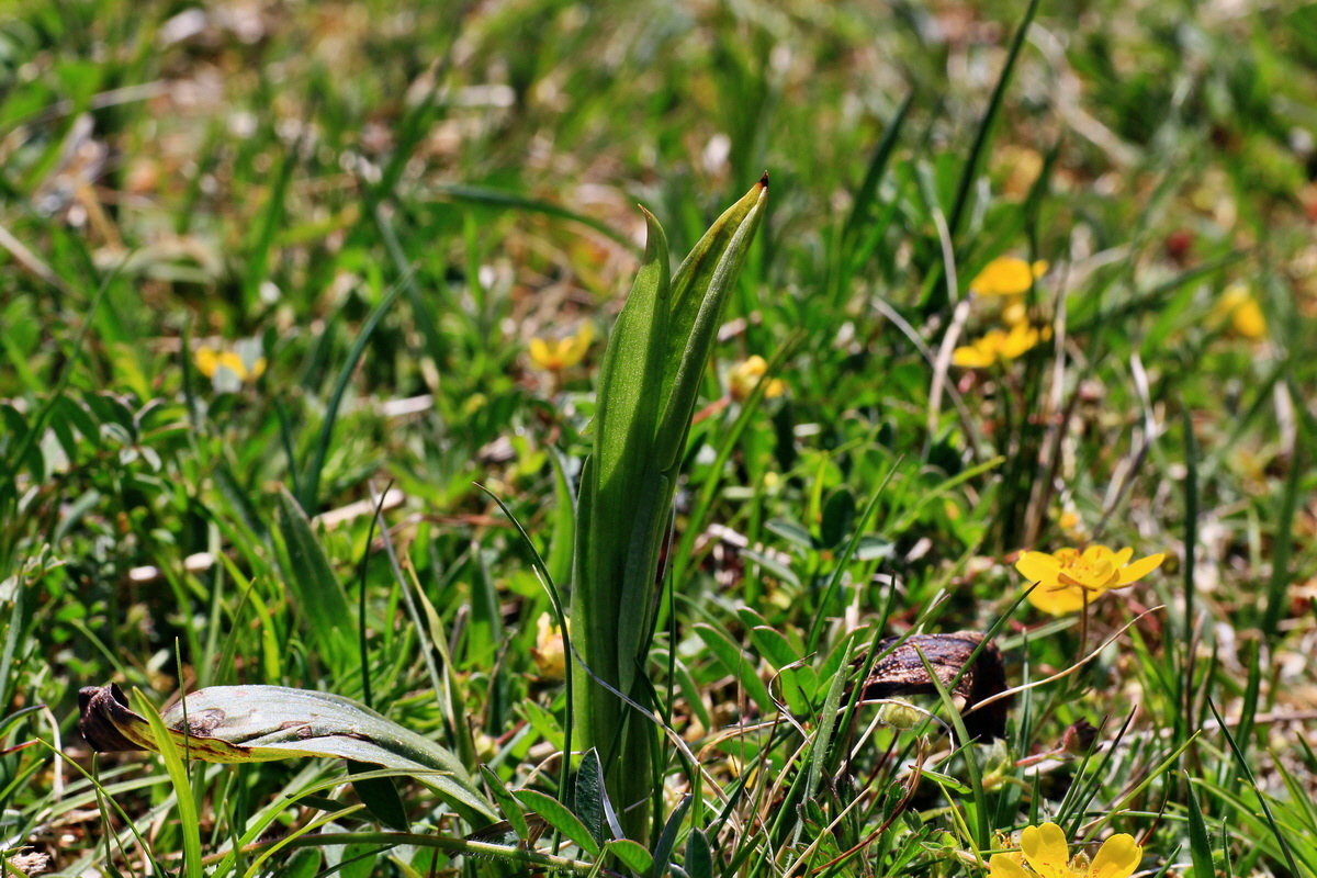 2015_05_02_00018291p_Bildgr��e �ndern