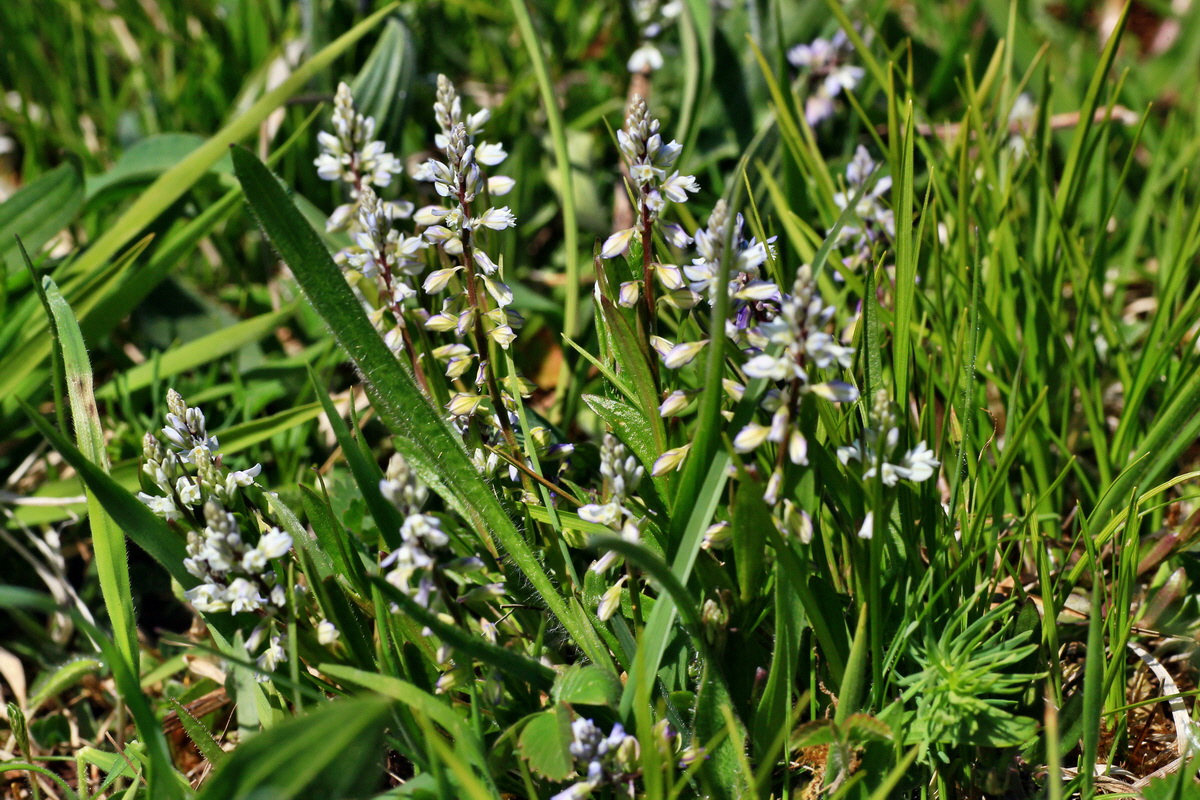 2015_05_02_00018296p_Bildgr��e �ndern