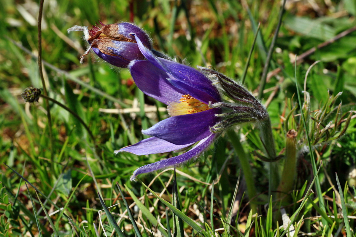 2015_05_02_00018298p_Bildgr��e �ndern