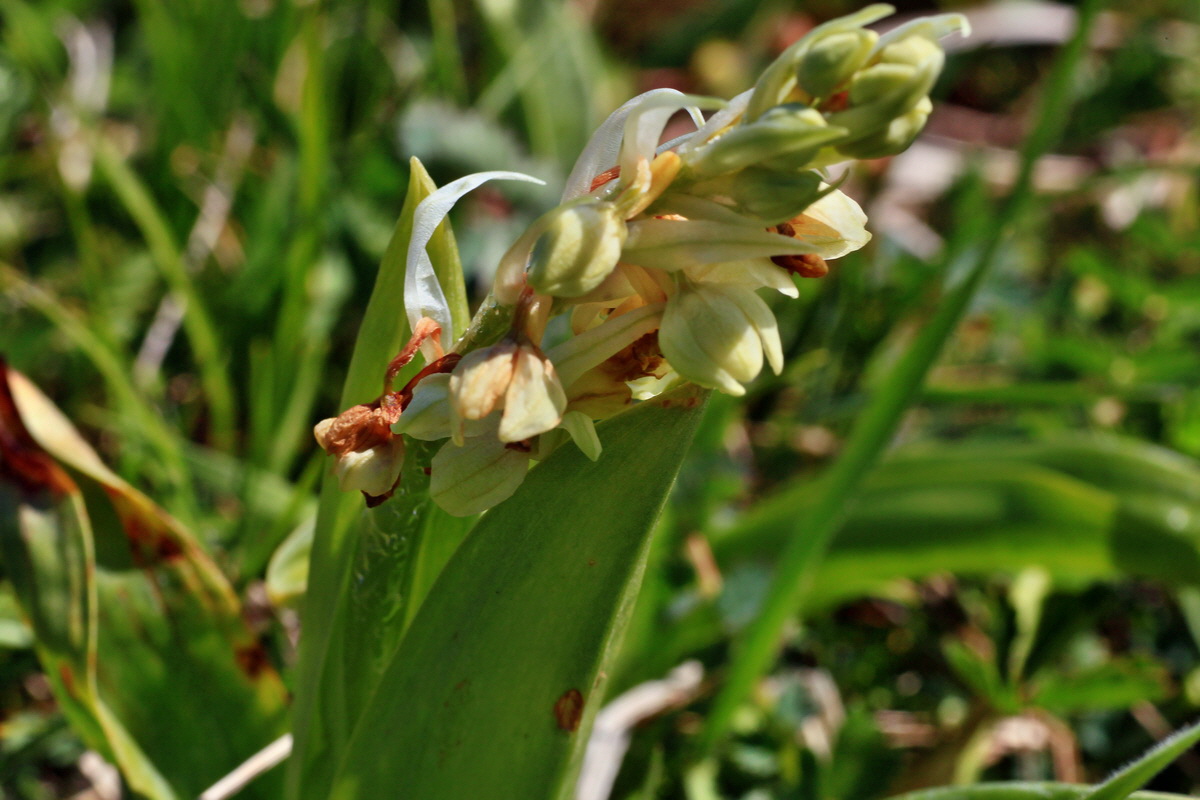 2015_05_02_00018299p_Bildgr��e �ndern