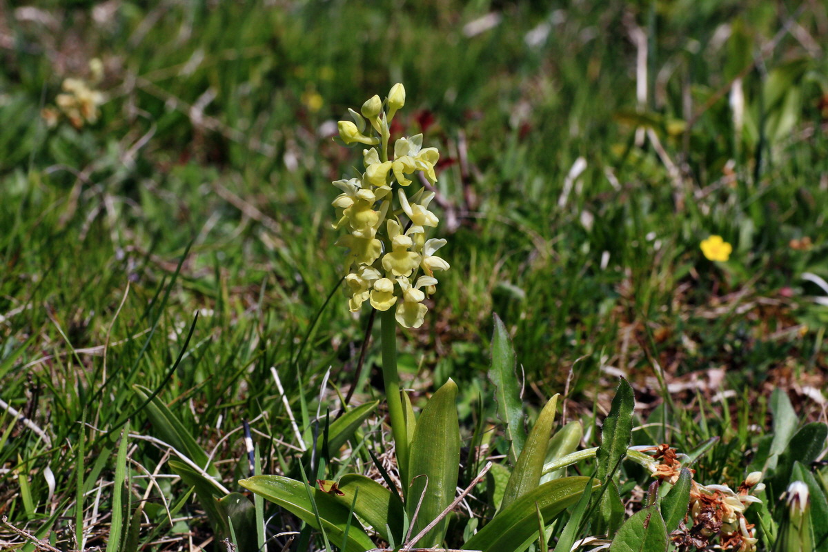 2015_05_02_00018302p_Bildgr��e �ndern