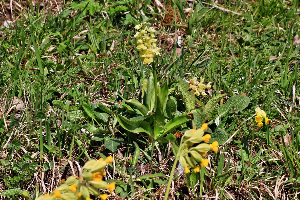 2015_05_02_00018308p_Bildgr��e �ndern