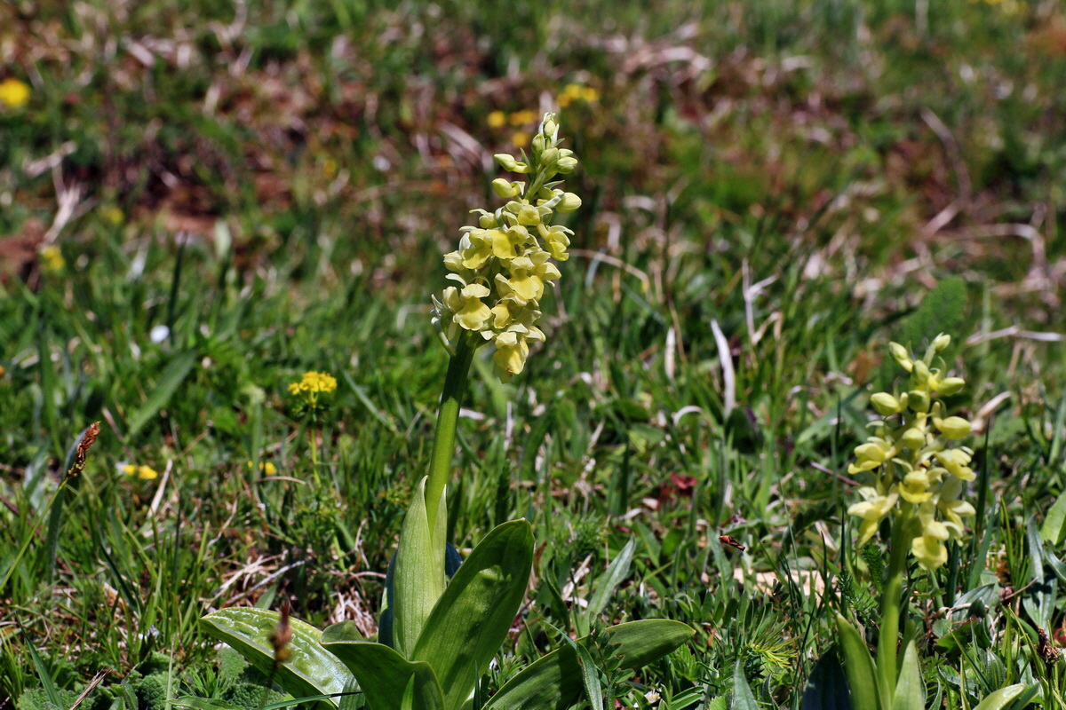 2015_05_02_00018311p_Bildgr��e �ndern