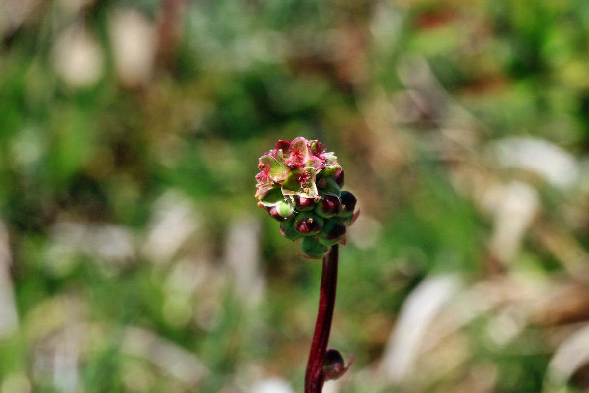 2015_05_02_00018313p_Bildgr��e �ndern