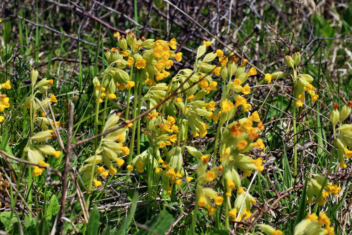 2015_05_02_00018320p_Bildgr��e �ndern