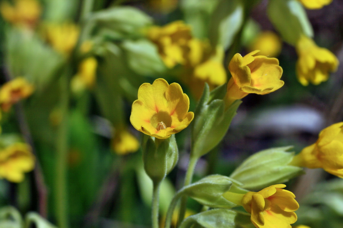 2015_05_02_00018323p_Bildgr��e �ndern