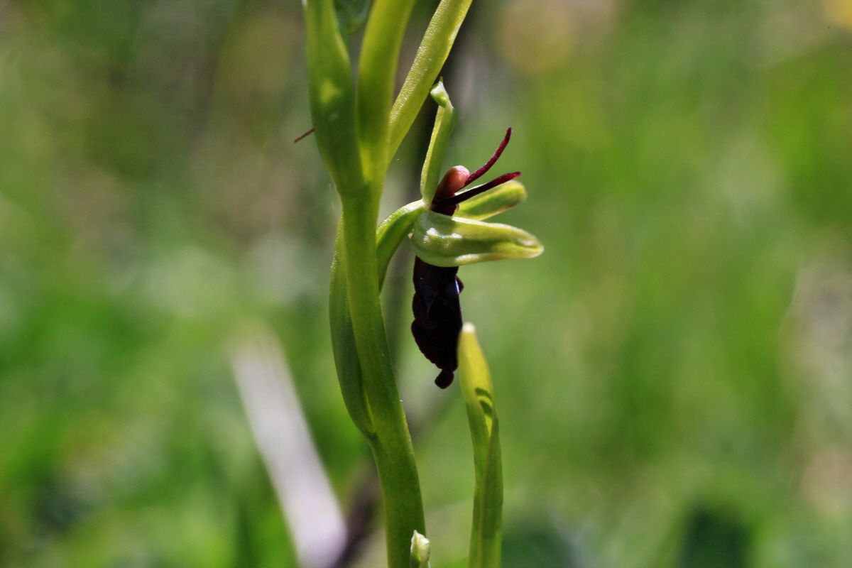 2015_05_02_00018328p_Bildgr��e �ndern