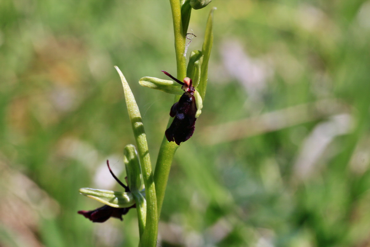 2015_05_02_00018334p_Bildgr��e �ndern