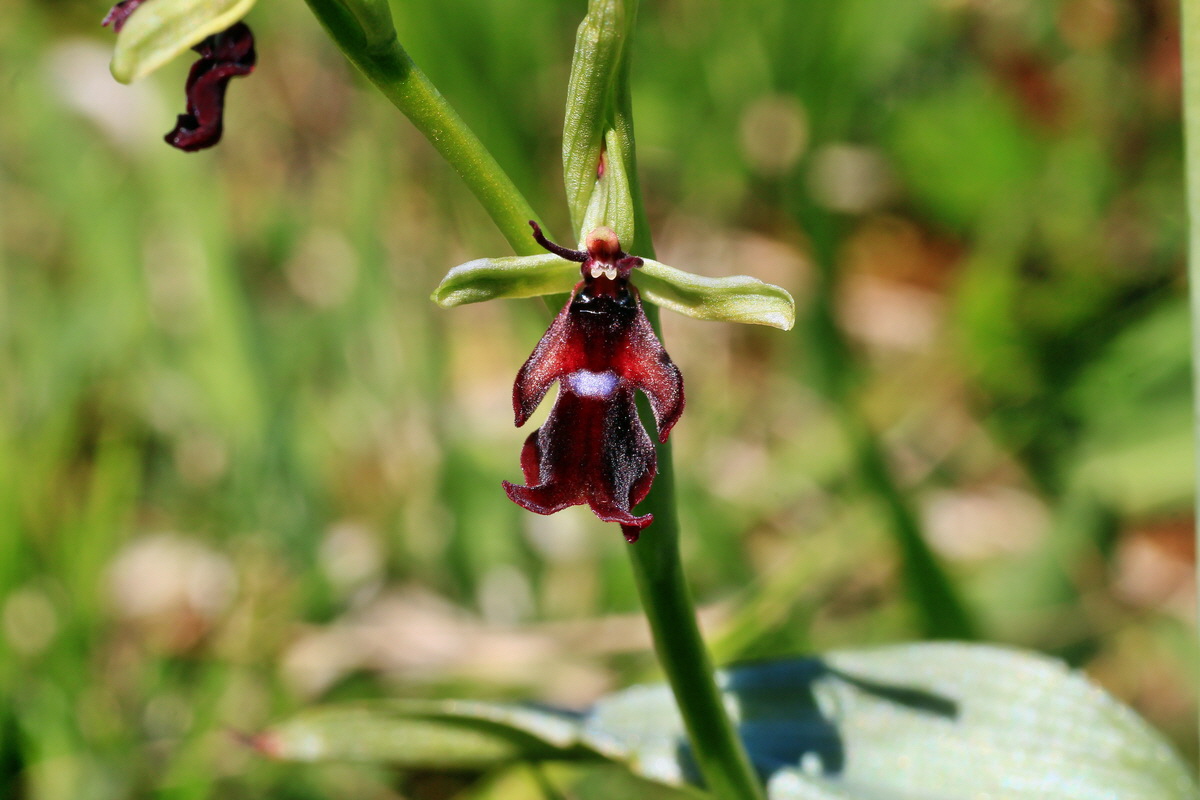 2015_05_02_00018337p_Bildgr��e �ndern