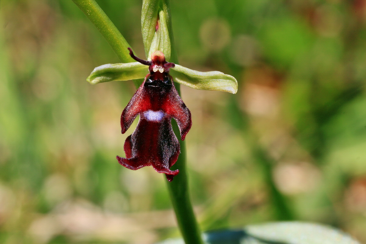 2015_05_02_00018343p_Bildgr��e �ndern