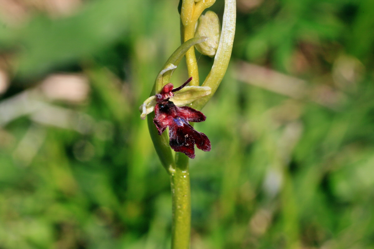 2015_05_02_00018344p_Bildgr��e �ndern