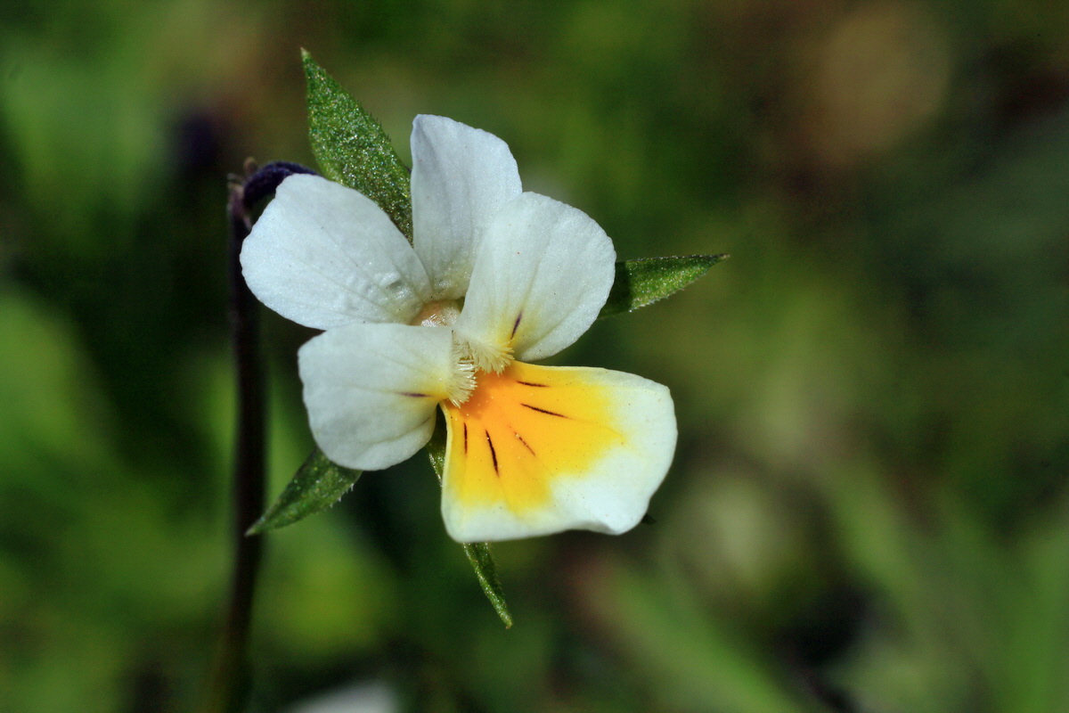 2015_05_02_00018351p_Bildgr��e �ndern