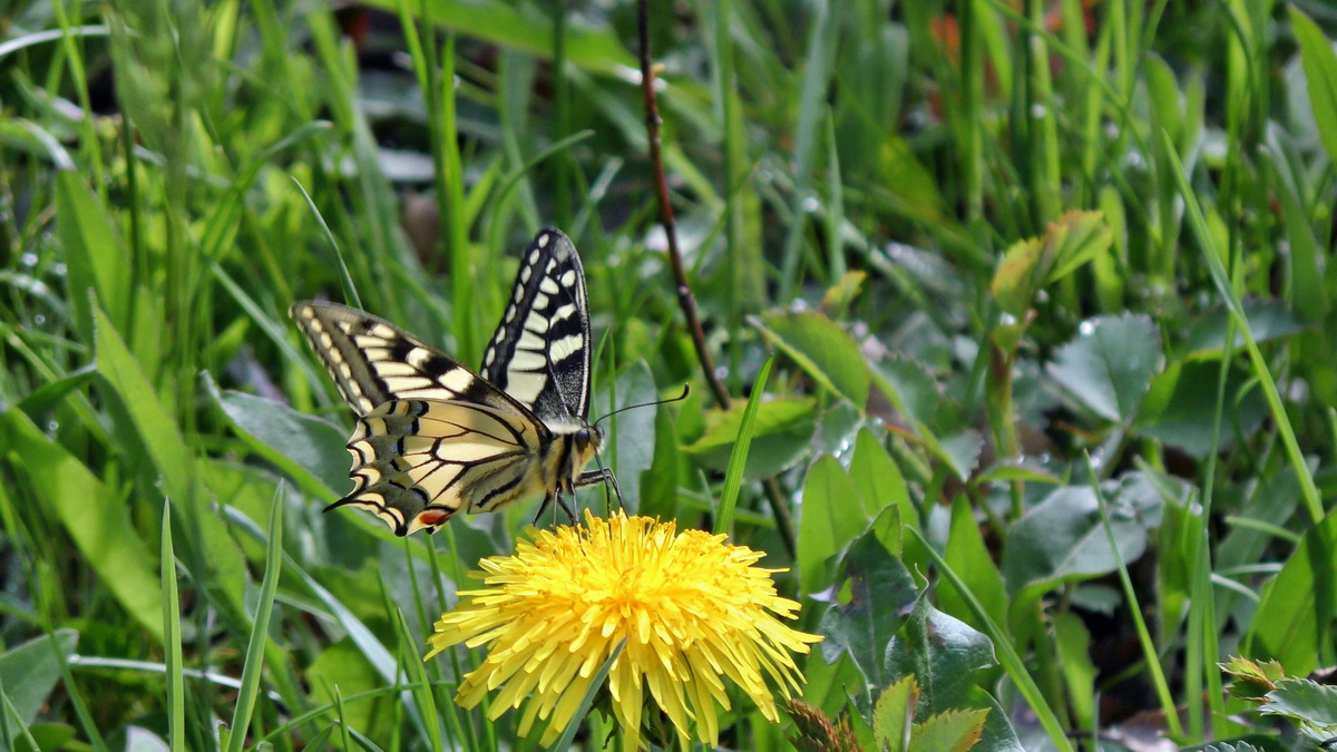 05-04-2015_104947(2)p_Bildgr��e �ndern