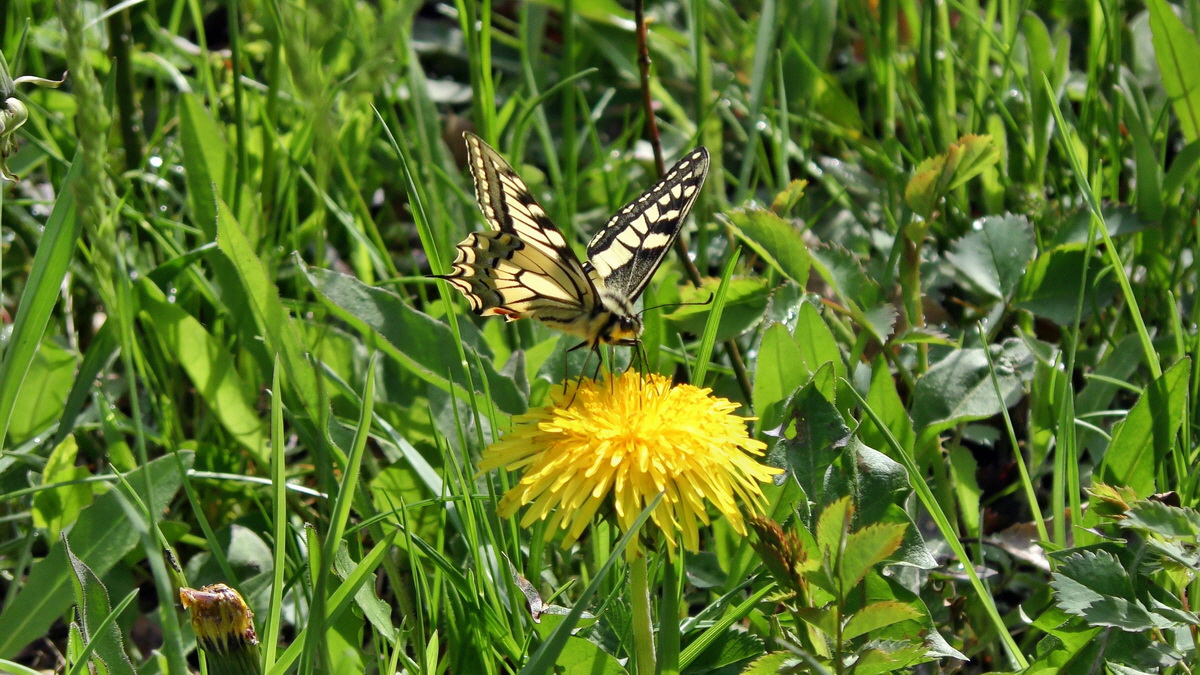 05-04-2015_104947(7)p_Bildgr��e �ndern