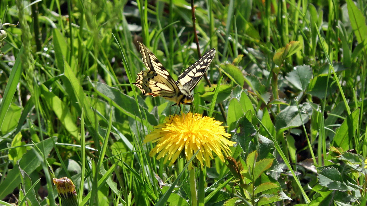 05-04-2015_104947(8)p_Bildgr��e �ndern