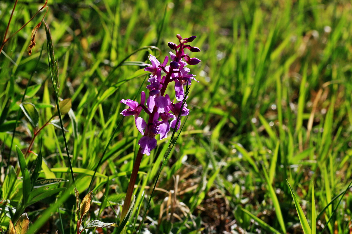 2015_05_04_00018370p_Bildgr��e �ndern