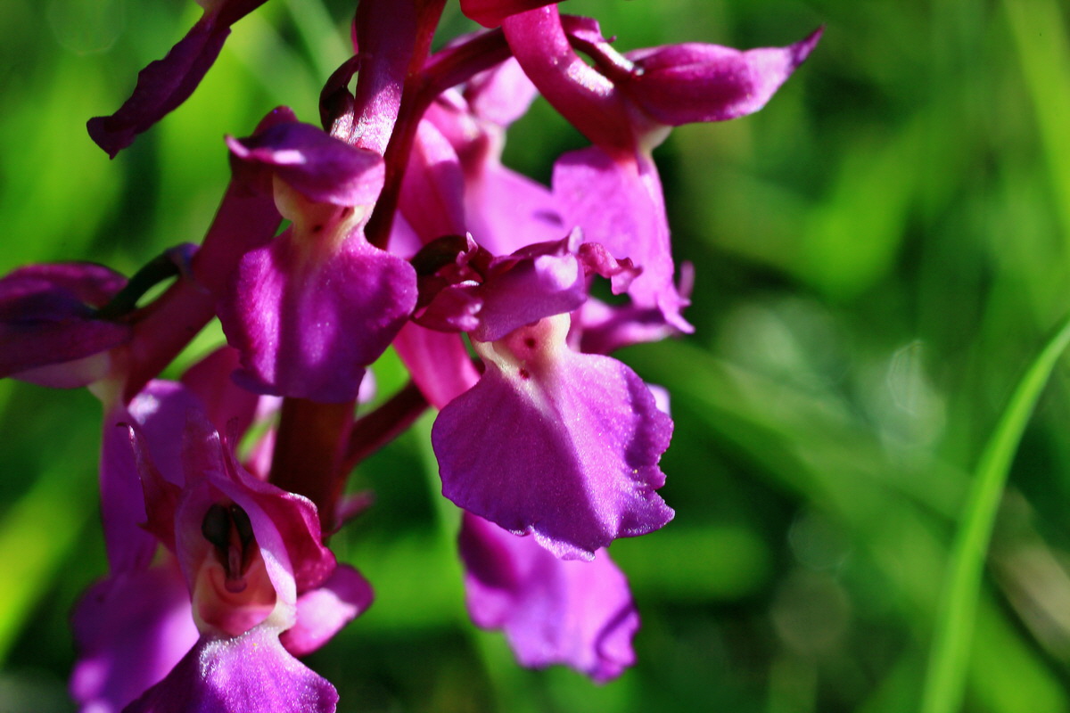 2015_05_04_00018373p_Bildgr��e �ndern