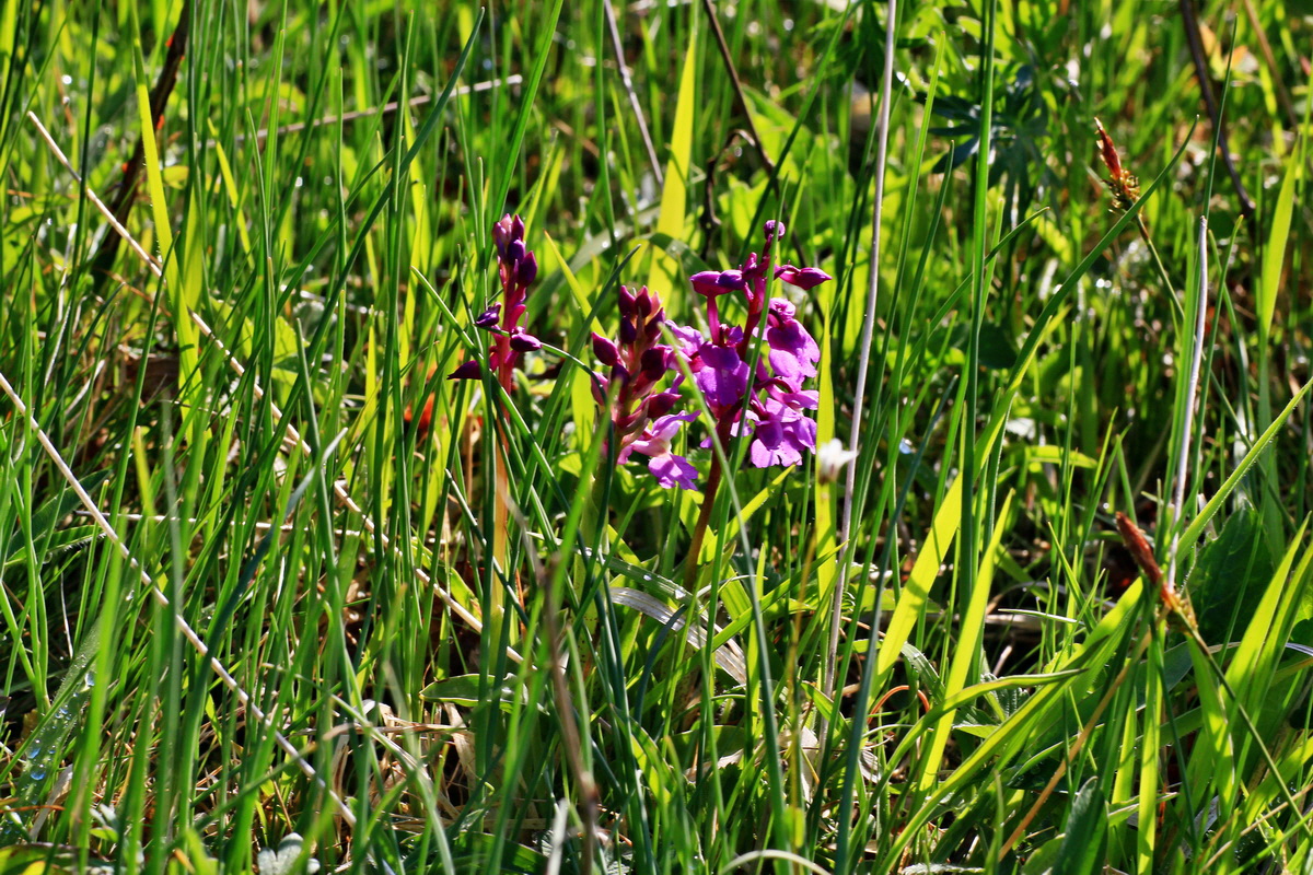 2015_05_04_00018375p_Bildgr��e �ndern