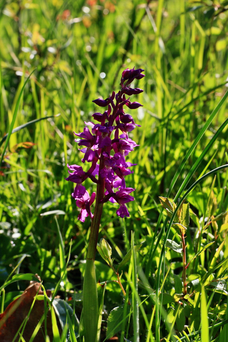 2015_05_04_00018377p_Bildgr��e �ndern