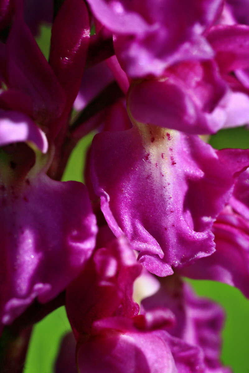 2015_05_04_00018380p_Bildgr��e �ndern