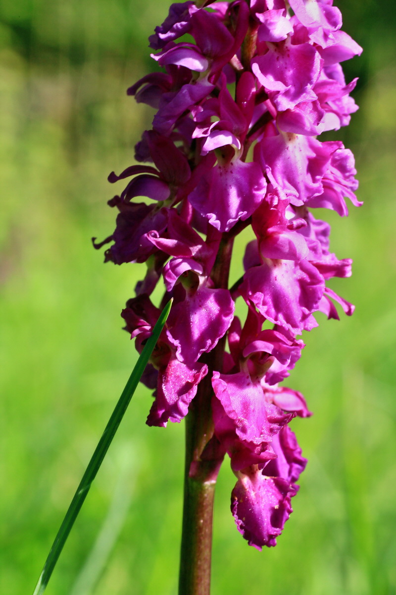 2015_05_04_00018384p_Bildgr��e �ndern