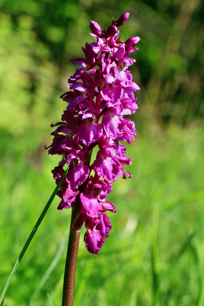 2015_05_04_00018386p_Bildgr��e �ndern