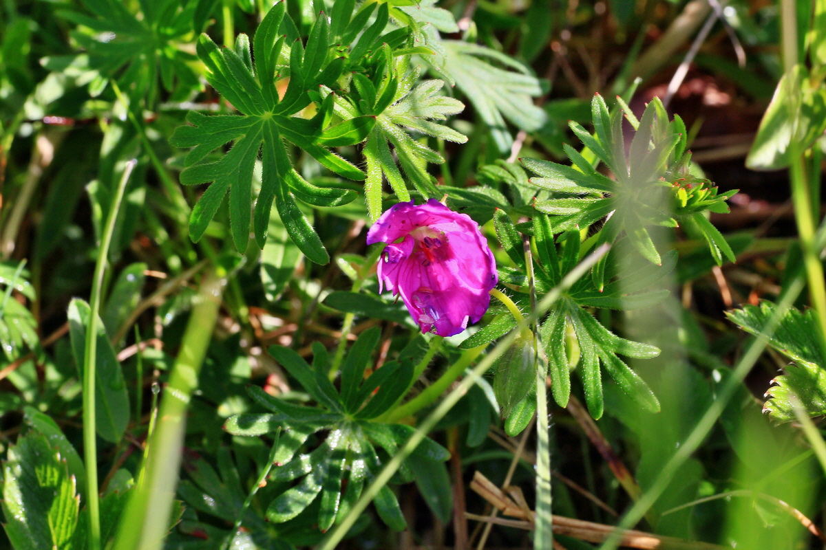 2015_05_04_00018388p_Bildgr��e �ndern