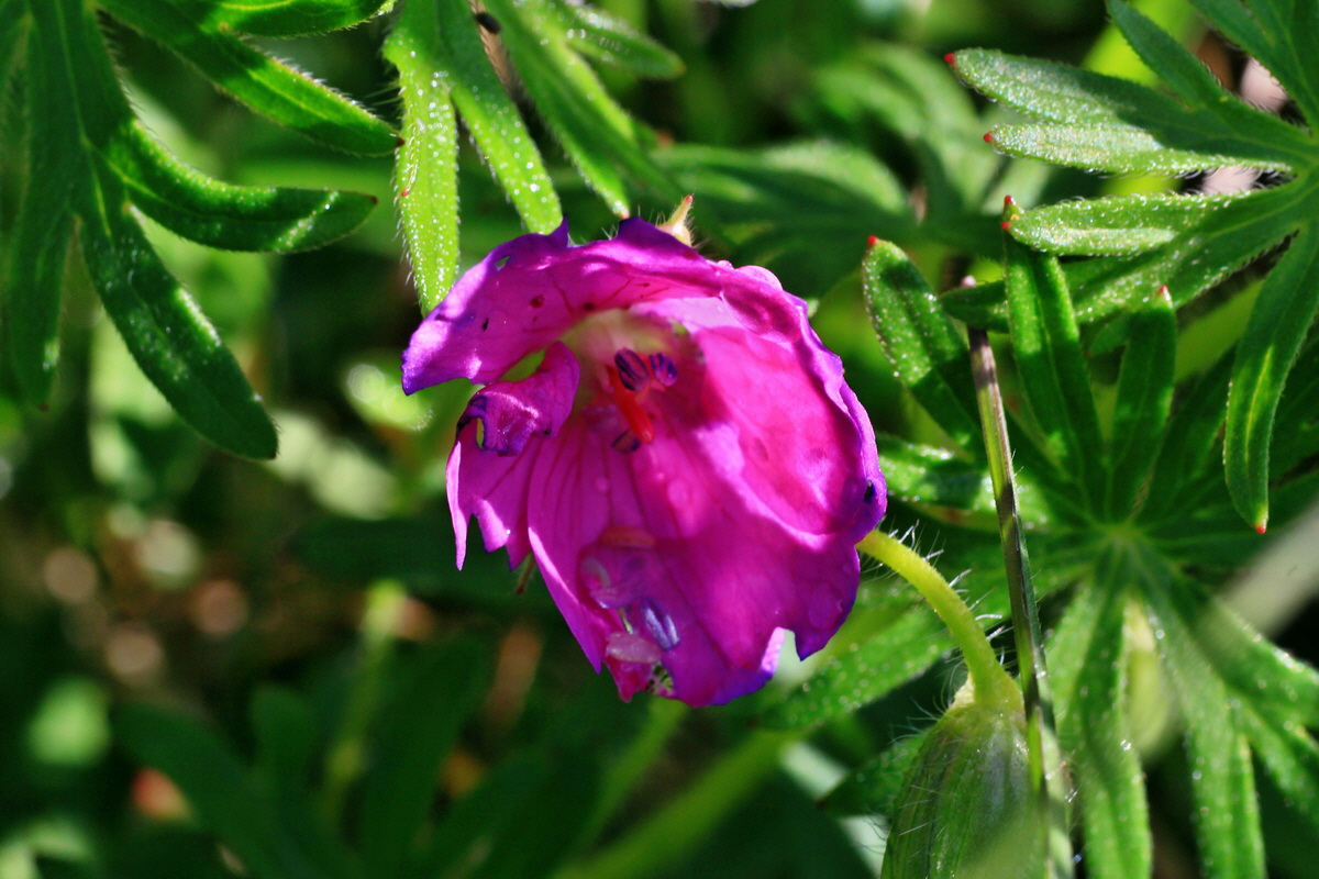 2015_05_04_00018391p_Bildgr��e �ndern