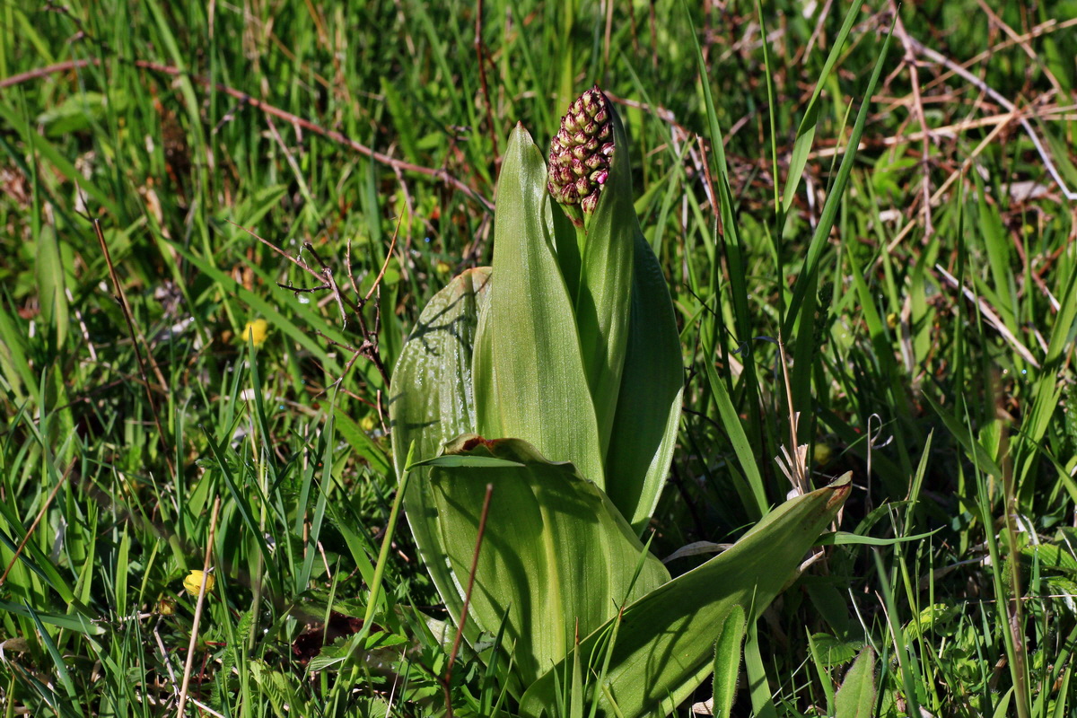 2015_05_04_00018399p_Bildgr��e �ndern