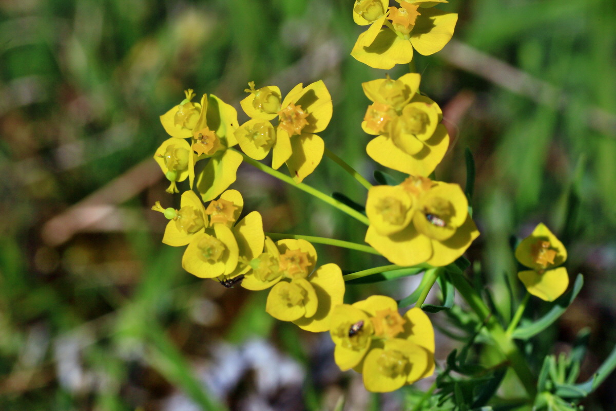 2015_05_04_00018402p_Bildgr��e �ndern