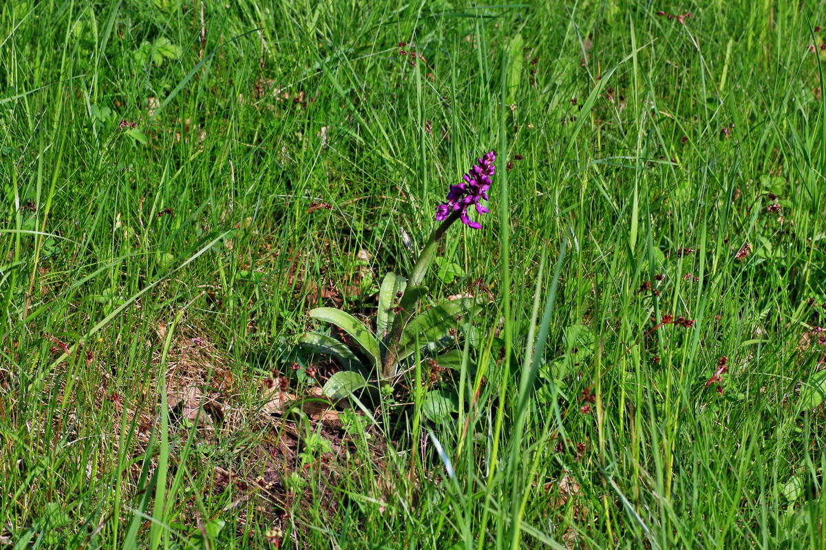 2015_05_04_00018409p_Bildgr��e �ndern