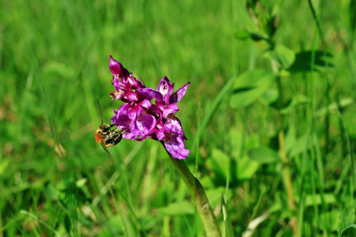 2015_05_04_00018410p_Bildgr��e �ndern