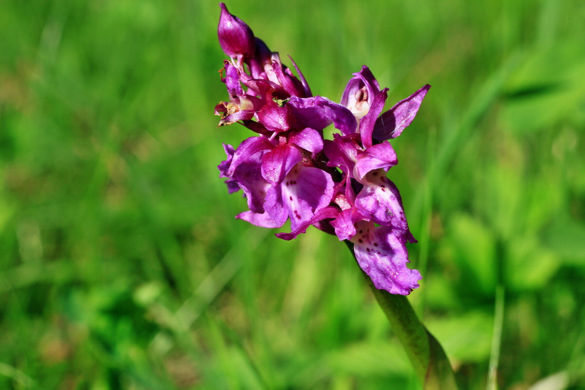 2015_05_04_00018414p_Bildgr��e �ndern