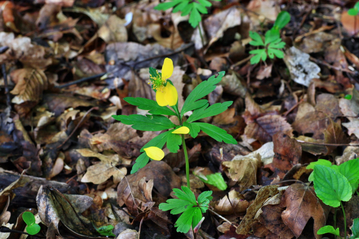 2015_05_04_00018418p_Bildgr��e �ndern